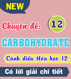 Carbohydrate (CD)